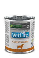Влажный корм Farmina Vet Life Dog Convalescence Wet Food 300 g