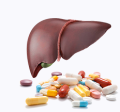 Гепатопротекторы