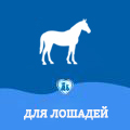 Лошади