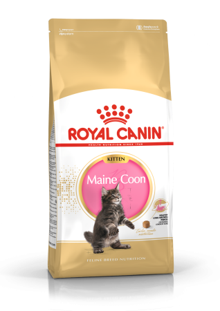 Royal Canin Maine Coon Kitten 2 kg