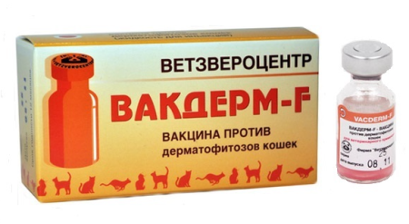 Вакдерм F вакцина для кошек (1 флакон-1 доза)