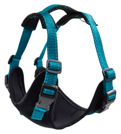 Zooexpress Шлейка FRESH LINE S (46-56 см) неопрен капрон сетка морская волна