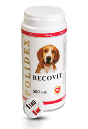 Кормовая добавка Polidex Recovit 500 таблеток