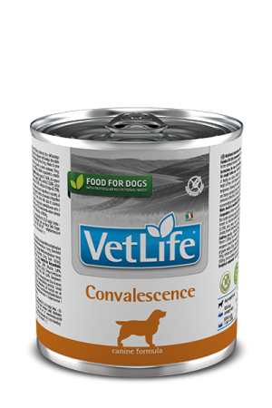 Farmina Vet Life Dog Convalescence Wet Food 300 g